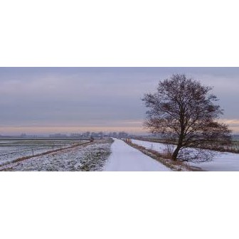 koud